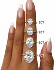 Sophia Ring